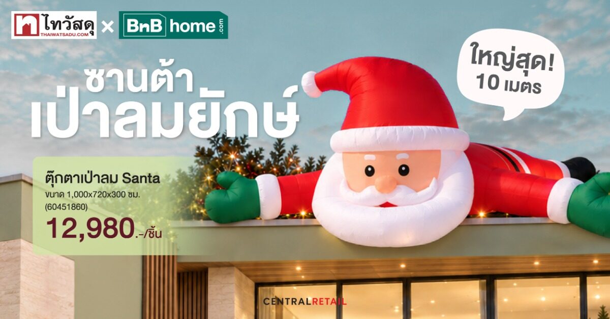 ไทวัสดุ และ BnB home เปิดจองต้นสนสดแคนาดาเริ่ม 6,880 บาท ลดสูงสุด 20%