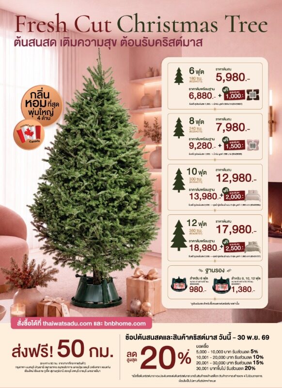 ไทวัสดุ และ BnB home เปิดจองต้นสนสด Christmas เริ่มต้น 6,880 บาท ลดสูงสุด 20%