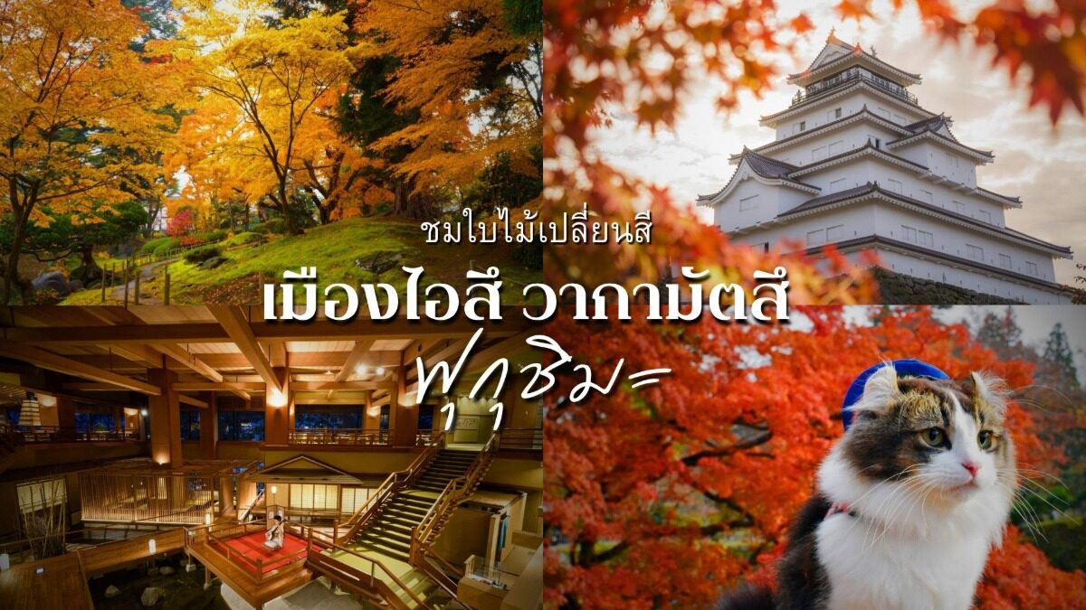 Aizu Wakamatsu ฟุกุชิมะ ชวนดู 5 จุดใบไม้เปลี่ยนสี ปลาย ต.ค. ถึงต้น พ.ย.