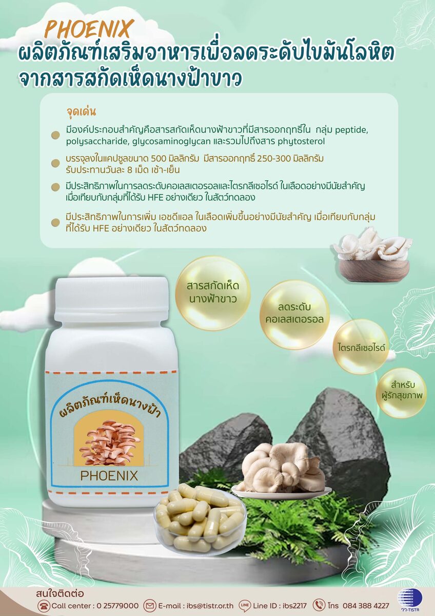 วว. เปิดตัวอาหารเสริมจากสารสกัดเห็ดนางฟ้าขาว ช่วยลดไขมันในเลือด